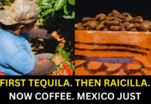 MEXICO JUST ADDED A NEW NAME TO THE SAME ELITE CLUB AS TEQUILA — AND IT CAME FROM MOUNTAINS MOST PEOPLE HAVE NEVER HEARD OF. ☕🇲🇽