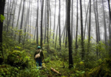 Nature tourism is gaining ground in Querétaro