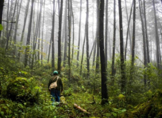 Nature tourism is gaining ground in Querétaro