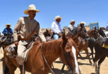 Horse inspections reinforced for Villista Cavalcade due to screwworm risk from Durango