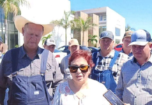 Mennonites in Campeche denounce judicial dispossession of the property “El Progreso and El Porvenir”