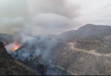 Fire ravages homes in the village of San José Comondú, Baja California Sur; burning of palm grove under investigation.