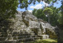 Mexico denies non-compliance with UNESCO regarding information on Calakmul (Nature Aristegui)