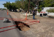 Hurricane Genevieve leaves sinkhole, fallen trees, and neighborhoods without water in Culiacán