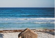 Overwhelming Majority of Mexican Cruise Tourism Concentrated in Cozumel and Mahahual