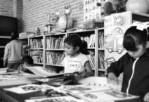 Rural Libraries in Guanajuato Drive Community Development for Children and Adults Despite Lacking Internet Access
