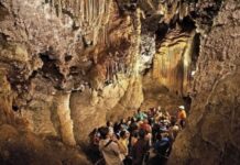 Chihuahua’s Hidden Gem: Ancient Caves, Sotol Distilleries, and Traditional Northern Flavors