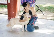 Second Canine Festival 2026 Promotes Pet Vaccination and Responsible Adoption in Pomoca