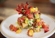 Gema Festival Invites Travelers and Locals to Redefine San Miguel de Allende Through Art, Culture, and Gastronomy
