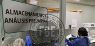 Prison Sentence Handed Down for Gang Robbery in Merida Following Thorough Investigation