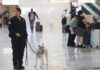 Enhanced Phyto-Sanitary Surveillance at Puerto Vallarta’s International Airport