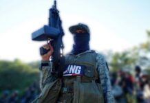 CJNG Surpasses Sinaloa Cartel in Global Reach and Criminal Diversification, According to Security Analysis