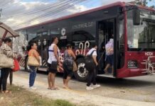 Campeche Government Absorbs Transfer Costs for Ko’ox Public Buses
