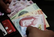 Chiapas Enforces Strict New Restrictions for Public Office Candidates on Alimony Debtors Registry