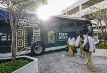 Tren Maya Restores Cancún-Playa del Carmen Route and Announces Intermodal Service