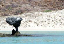 10 Lesser-Known and Uncrowded Beaches in Mexico You Must Visit This Summer 2026