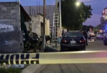 Canadian National Murdered in Mazatlán Amid Escalating Regional Violence
