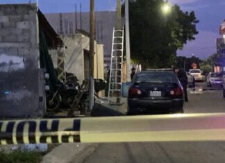 Canadian National Murdered in Mazatlán Amid Escalating Regional Violence