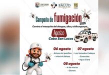 Continuing Dengue Fumigation Drives Across Neighborhoods in Cabo San Lucas