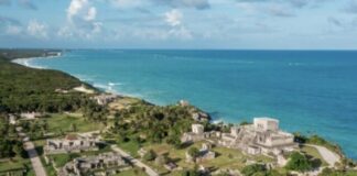 Tulum to Build New Tourist Corridor in Jaguar Park to Improve Access and Attract Visitors