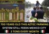 Ancient Aztec Innovation: How Xochimilco’s Chinampas Are Revolutionizing Modern Sustainable Farming