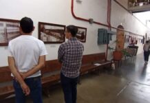 FASMA 2026: Highlights for the Week of August 11–16 in San Miguel de Allende
