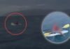 Minor Rescued After Drifting Out to Sea on a Paddle Board in Baja California Sur