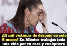 Over 15,000 Families Affected by Property Dispossession Across Mexico in First Half of 2026