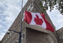 Canadian Embassy in Mexico City Opens High-Paying Job Vacancy with an Eighty-One Thousand Peso Salary