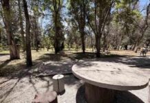 IMPLAN San Luis Potosí Launches Strategic Initiatives to Expand and Protect Urban Green Spaces