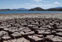 The Historic Threat of El NiÑO: Mexico Faces Severe Climatic Extremes