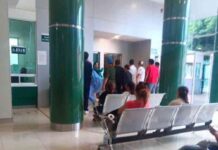 Baja California Sur Ranks as Second State with Highest Dengue Rate in Mexico