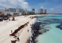 Health Authorities Launch Inspections Across Quintana Roo Hotels Following Cyclospora Reports