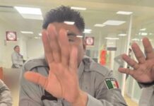 International Divers Threaten Cozumel Boycott Following Controversial Customs Fees on Camera Equipment