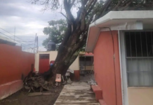 Rains cause damage to nearly 20 schools in Nayarit.