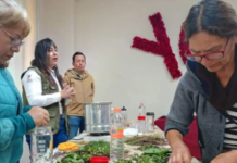Second Herbalism Workshop for Women Held in Playa del Carmen; Here’s What You Need to Know