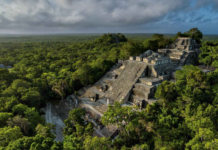 Campeche, the fourth state with the most protected area in the country