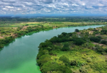 Tabasco will participate in the planting of 3,000 plants during the National Reforestation Drive.