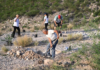 Sonora adds more than 13,000 native plants to the National Reforestation Campaign.
