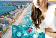 Mexico rules out presence of the cyclospora parasite in 16 hotels on the Riviera Maya