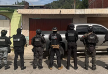 Twelve people arrested in Michoacán for extorting avocado growers and transporters