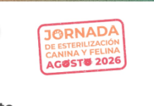 Ongoing Canine and Feline Sterilization Campaign Comes to Huanusco, Tabasco, Villanueva, and El Salvador