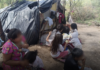From fleeing bullets to living under tarps in the city of Chihuahua: the plight of seven Ódami families