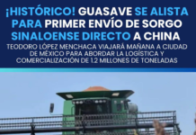 🌾🇨🇳 Historic: Guasave prepares for first shipment of Sinaloa sorghum directly to China.
