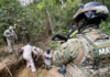 Navy reveals details of the accident that left four sailors dead in Tamaulipas.