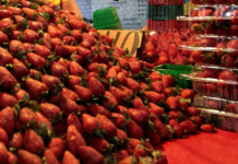 Mexico expresses “grave concern” over U.S. measures against domestic strawberries.