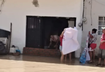 Flooding in Puerto Vallarta affects dozens of homes; authorities report crocodiles in the streets.
