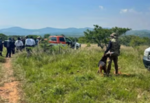 American man found dead after going for a walk in San Miguel de Allende, Guanajuato