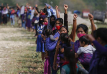 Mexico. General Law on Peoples will facilitate access for large-scale capital to Indigenous territories: CNI