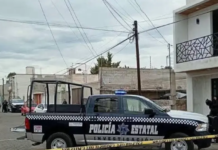 “La Reina del Sur” captured in Tlaxcala during an operation lasting over eight hours in Huamantla.